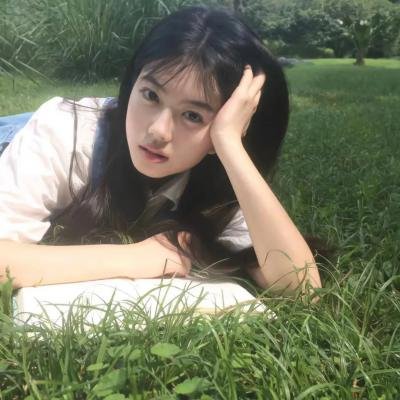 狮子狗行动
